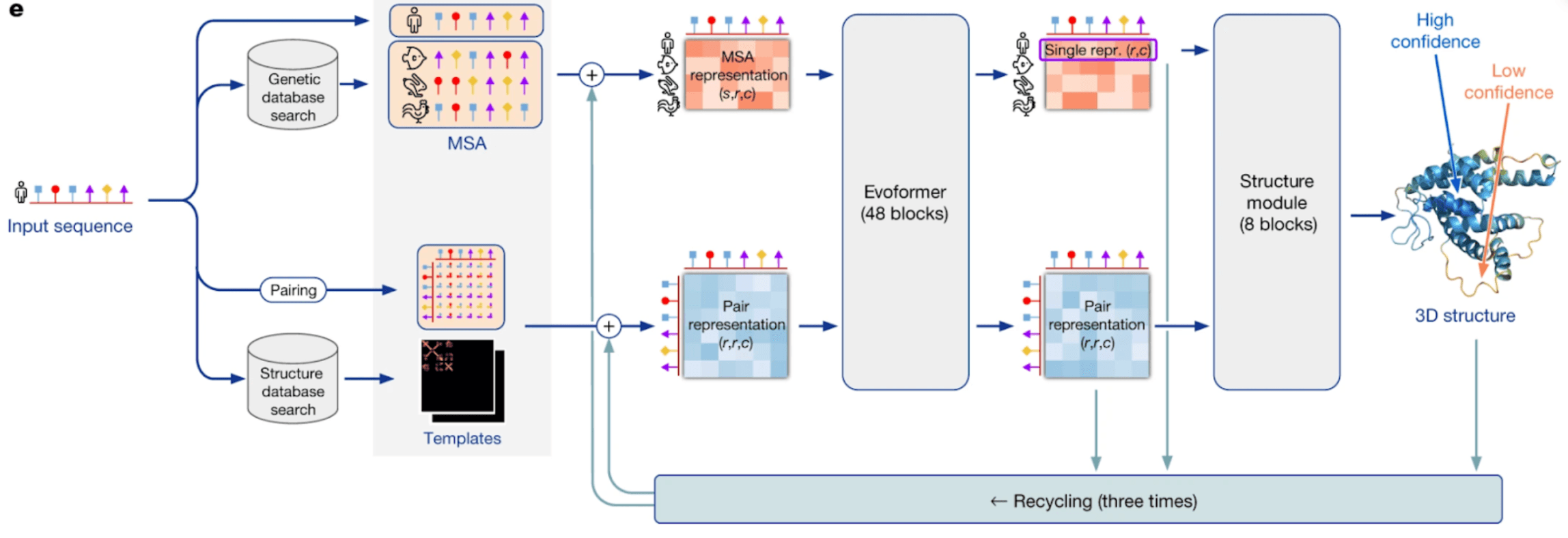 AlphaFold2 architecture diagram