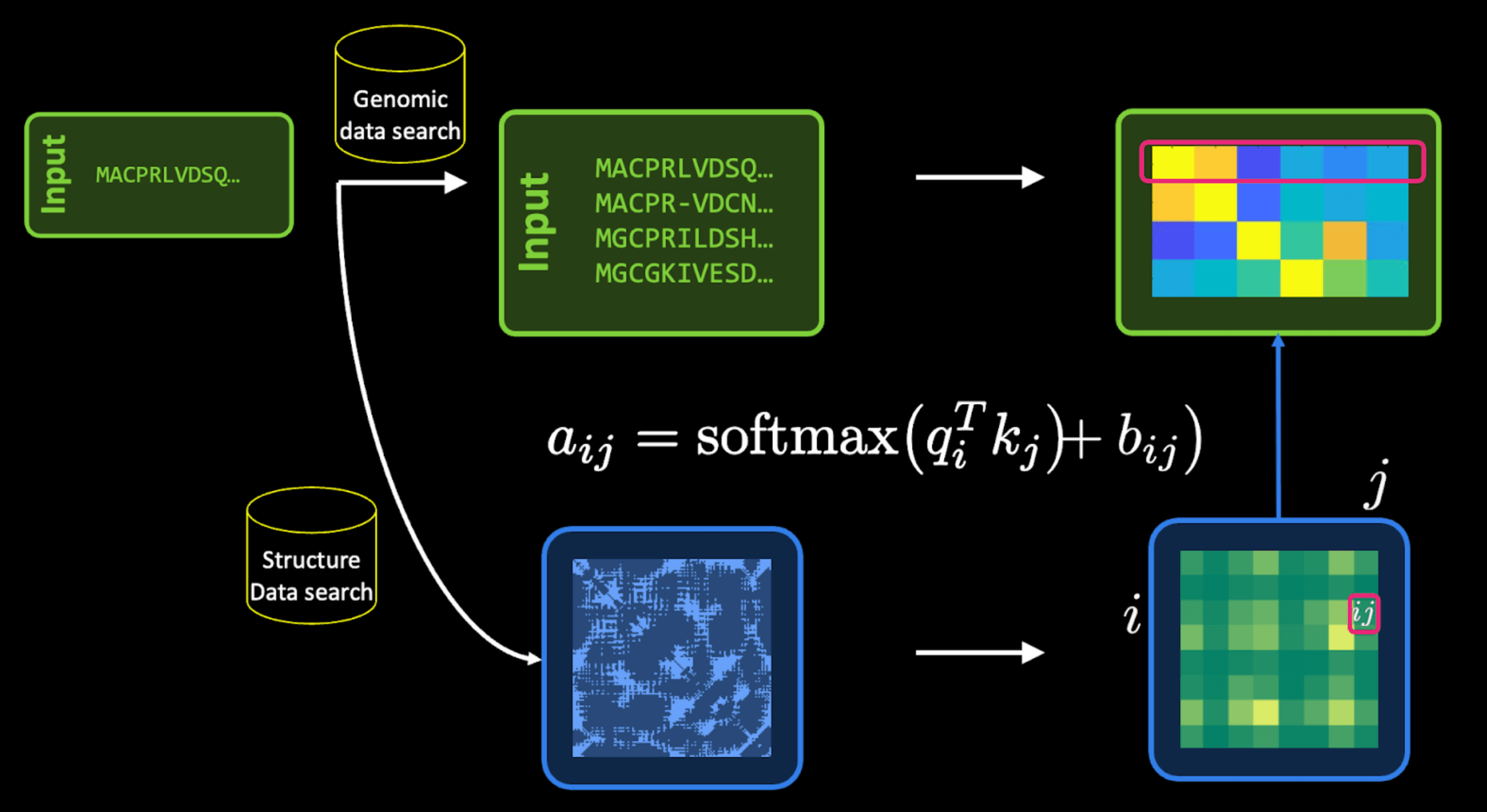 MSA + template search